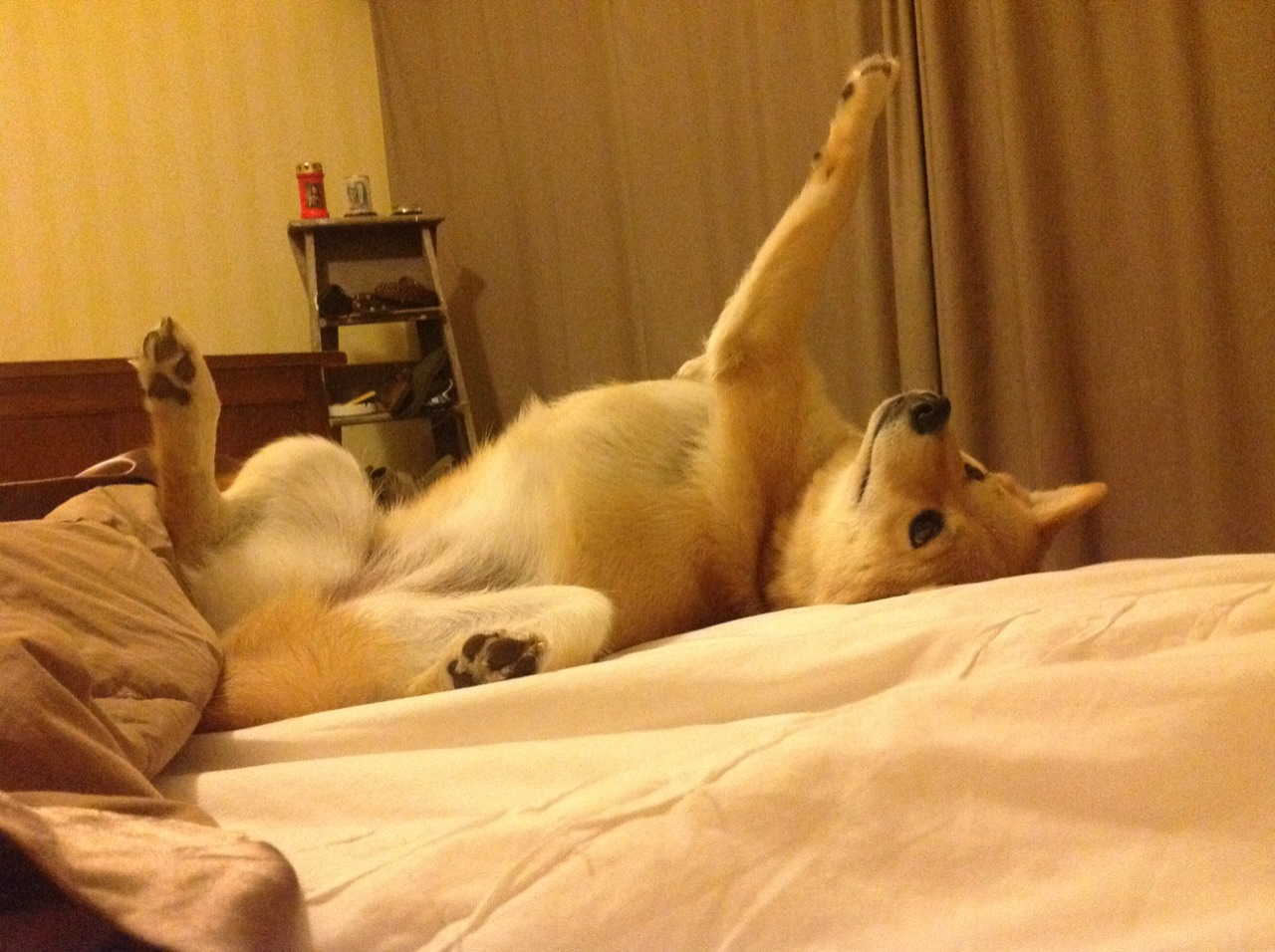 足球世界俱乐部杯直播-“中超联赛引入新技术，确保比赛公正公平”，中超联赛制度