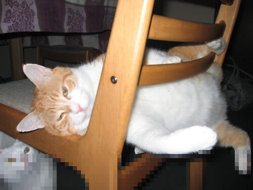 2025世俱杯赛程-《国家政策不断推动电竞产业，政府设立专项扶持基金》，国家关于推动电竞产业的政策