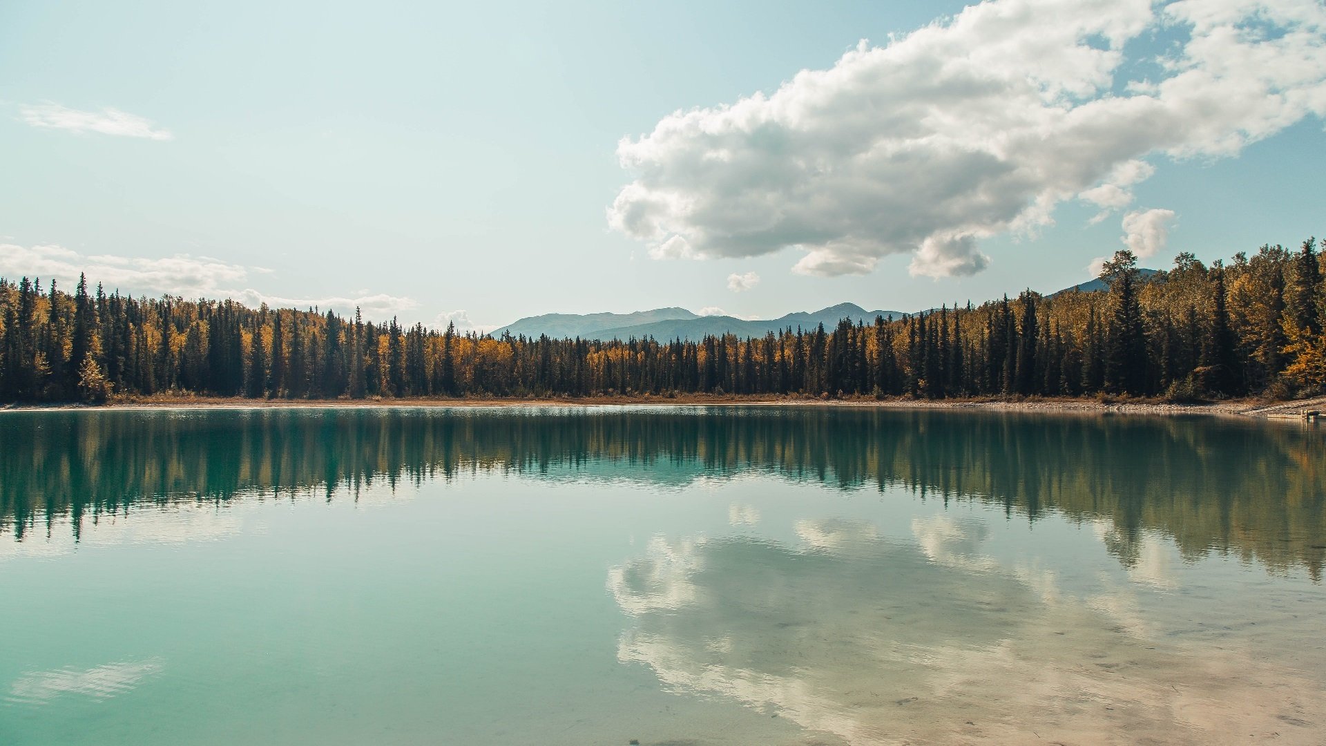 2025世俱杯-中国篮球联赛迎来新赛季精彩开幕，中国篮球队比赛时间