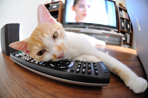 世俱杯-篮球教练员培训课程持续更新优化,2020年篮球教练员培训报名