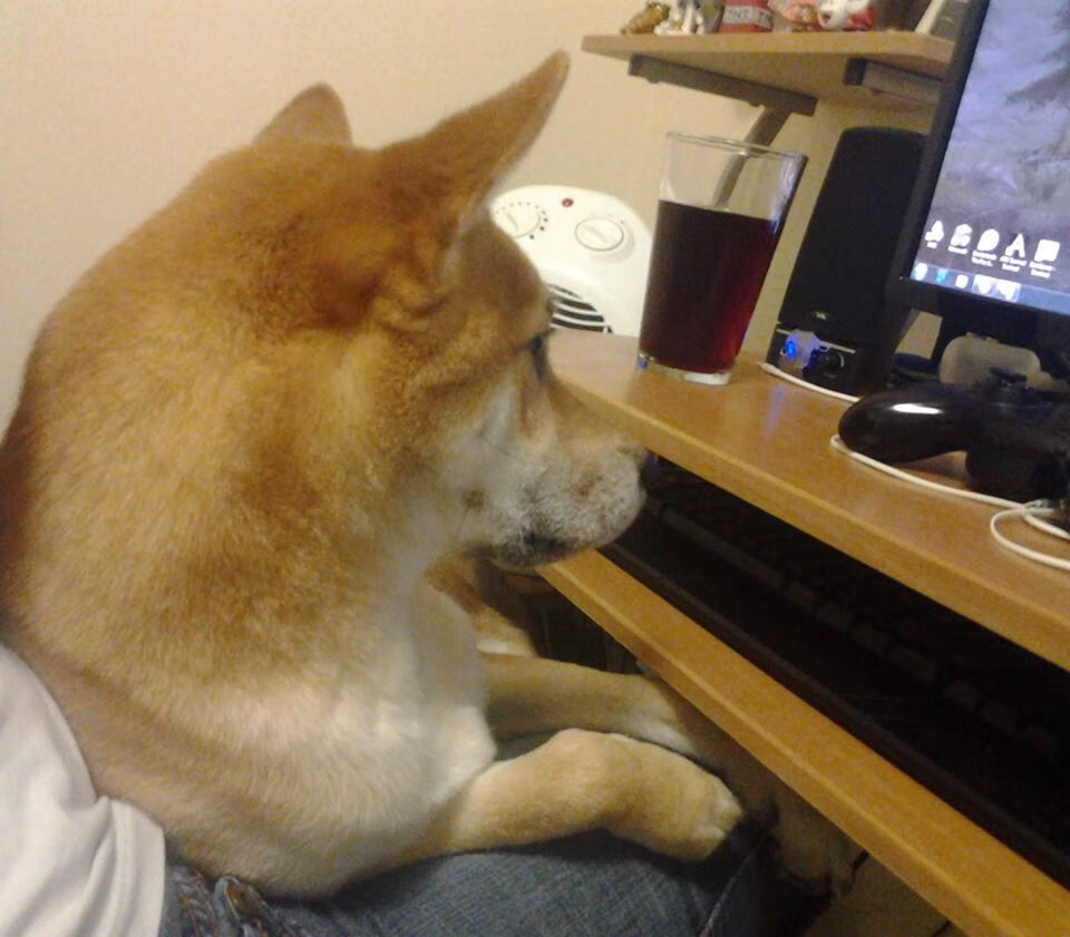 世俱杯直通-中国篮球运动员职业发展规划研究，中国篮球运动员职业发展规划研究报告