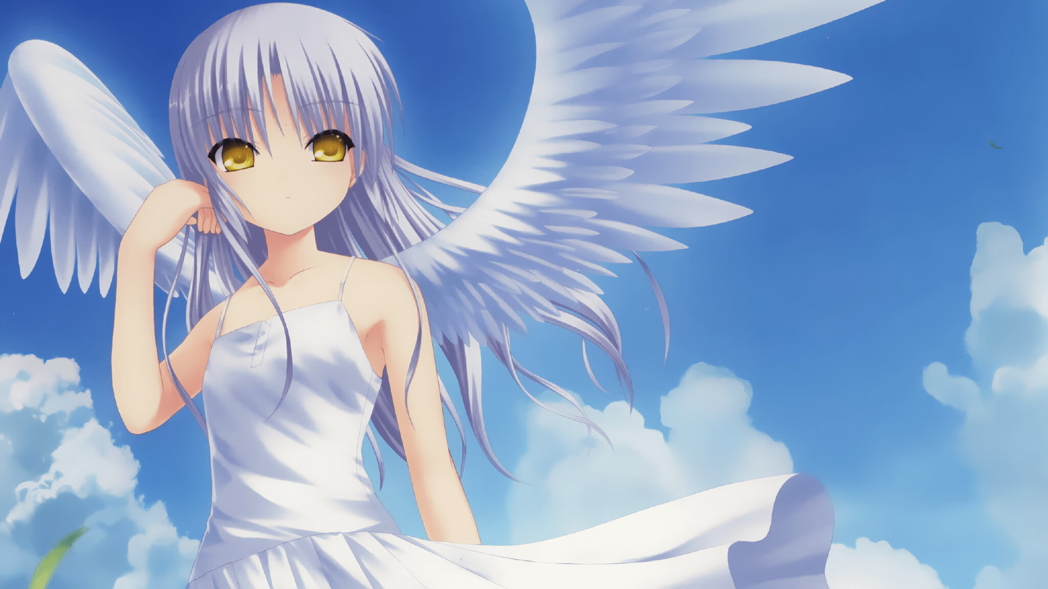 FIFA世俱杯-伊朗国家队获冬奥“体育精神奖”