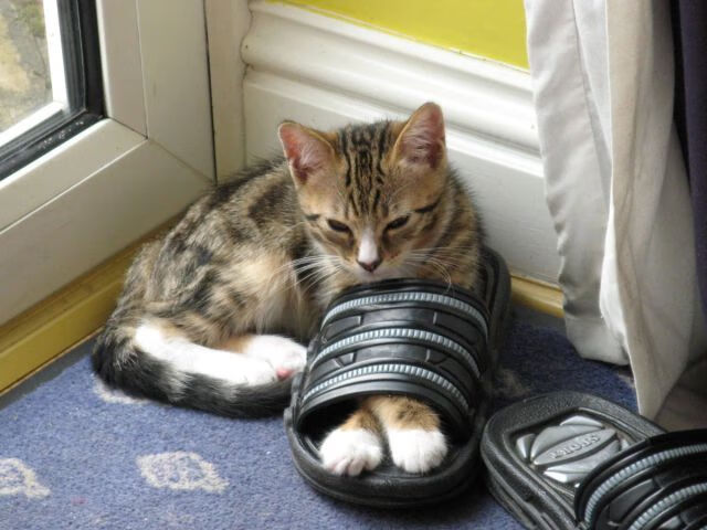 俱乐部冠军杯官网-勇士压哨战胜尼克斯，系列赛焦点战中库里砍下47分，今天勇士打尼克斯