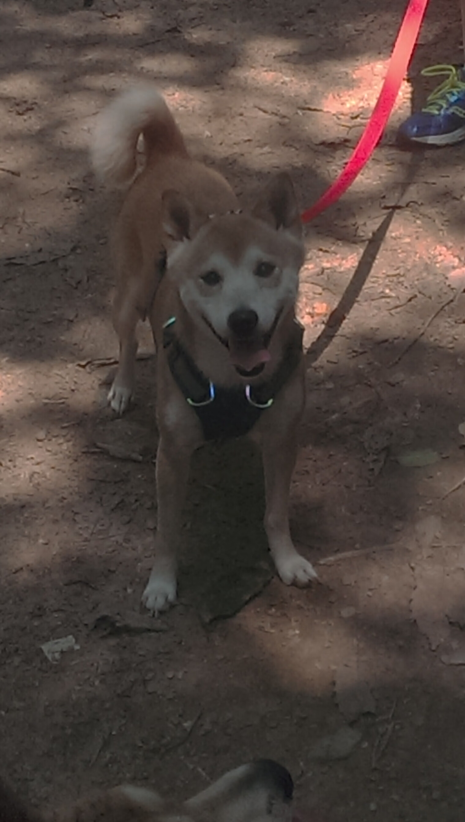 世俱杯2025全程直播-勇士翻盘尼克斯,西部决赛中库里砍下47分,勇士vs尼克斯库里54分录像回放