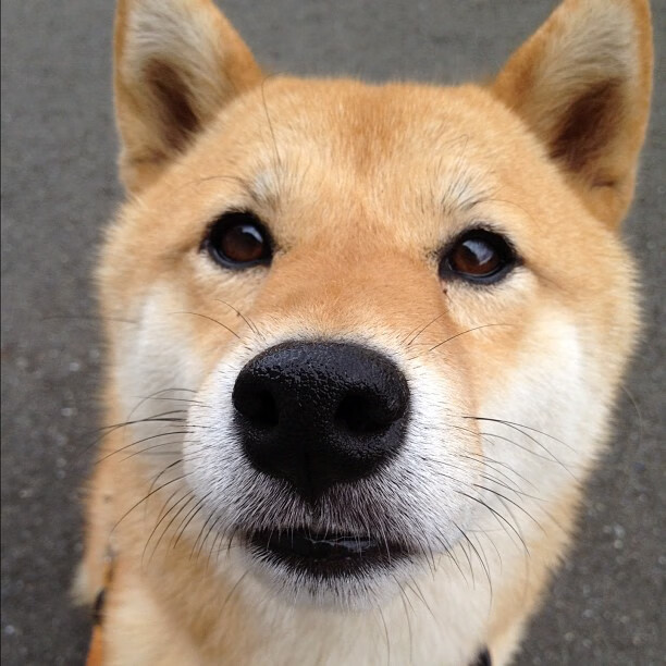 世俱杯2025-巴拉多利德惜败对手,遭遇客场失利,巴拉多利德老板