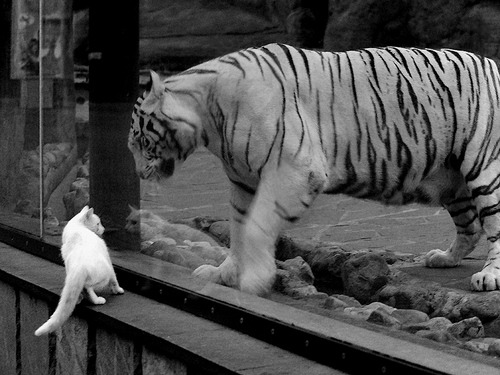 2025世俱杯对阵表-体育教学信息技术融合创新研究,体育教学改革与信息技术融合