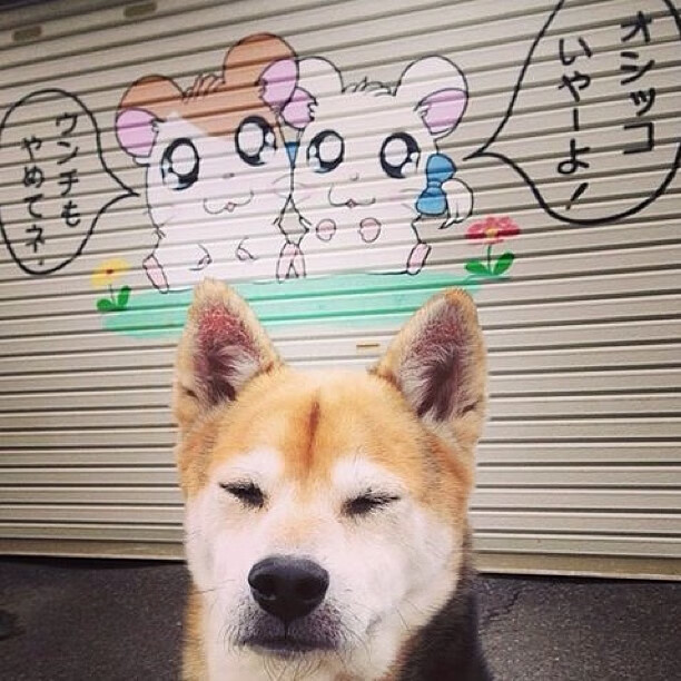 2025世俱杯对阵表-体育教学信息技术融合创新研究,体育教学改革与信息技术融合