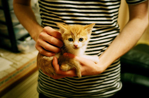 FIFA Club World Cup 2025-CBA主场改革效果显著 球迷参与感增强,cba主场怎么安排的