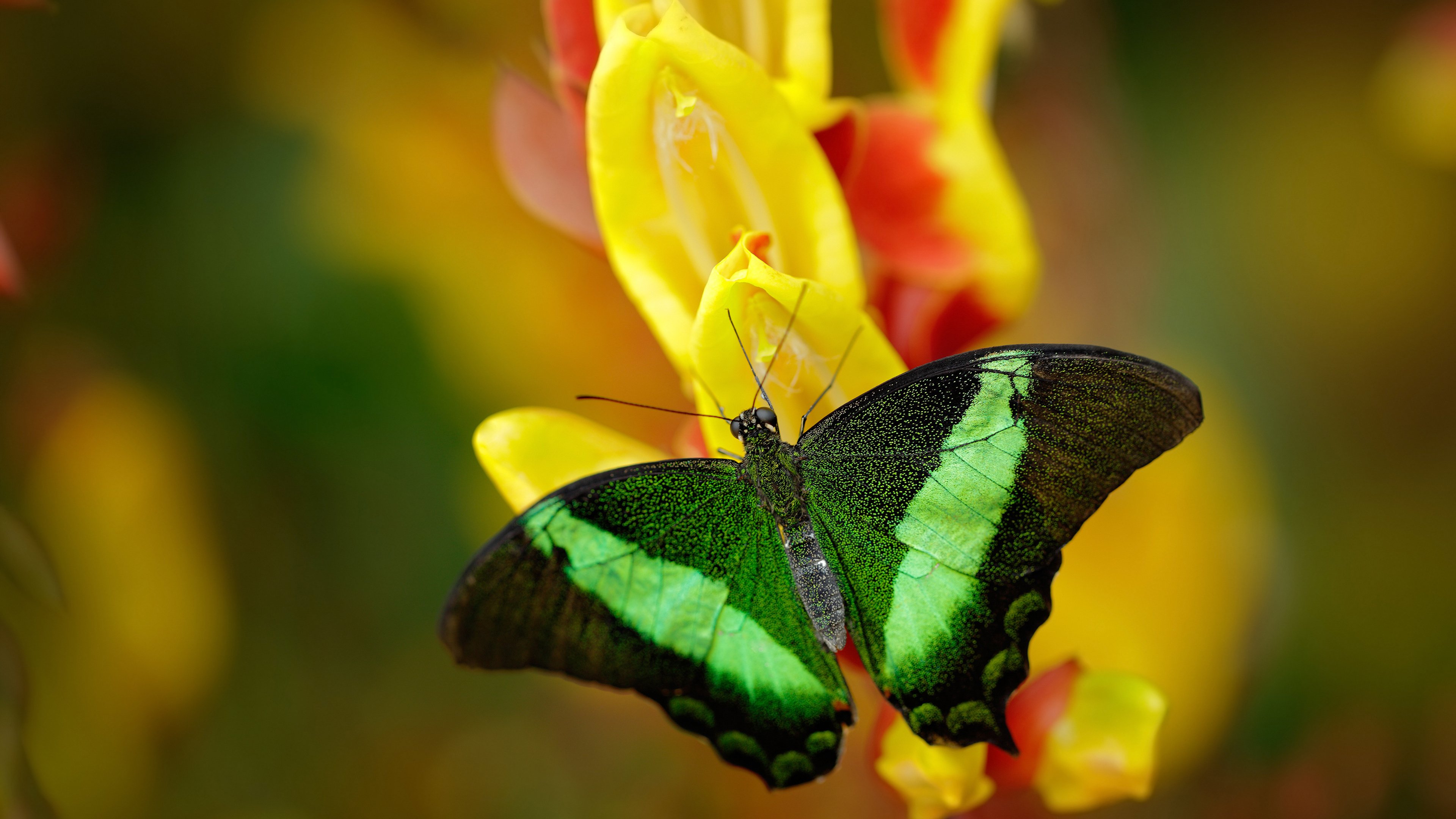 世俱杯官网-五大联赛场均过人次数增长是否改变打法趋势，五大联赛过人排行榜